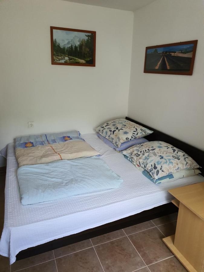 Apartman Runolist Delnice Exterior photo